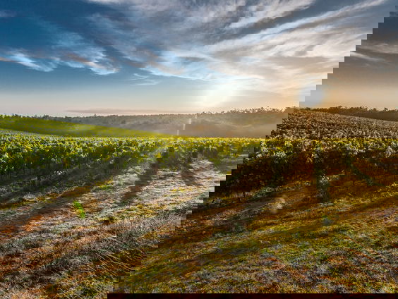 Lekkere Track: Uitstapje naar Italië