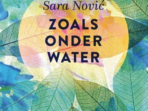 Boek van de week: Zoals onder water