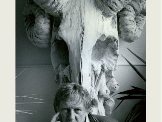 Het gesprek - Mark Schaevers