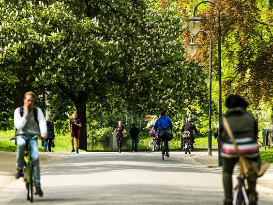 De Jaargetijden: Honingdauw