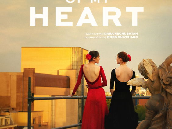 Het gesprek - Dana Nechushtan