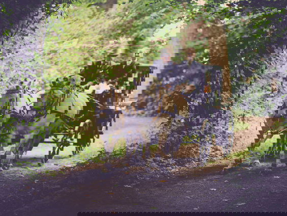 Lekkere Track: Een hobbelige koetsrit