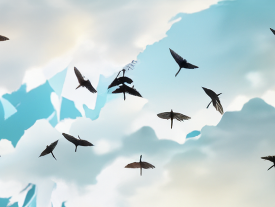 Zomergeluid: Gierzwaluwen