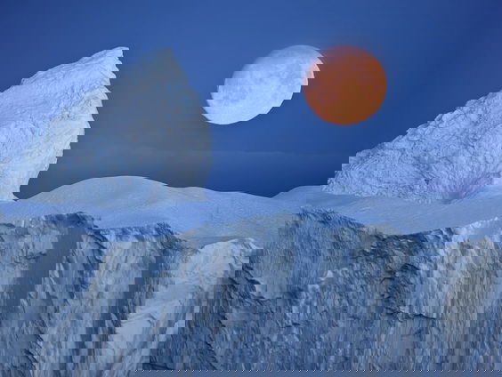 Lekkere Track: Arctic