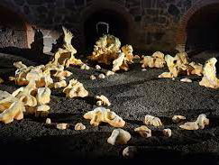 De Audiotour: Maarten Spruyt over de tentoonstelling Through Bone and Marrow in Brutus