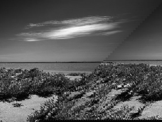 fotograaf Edwin Donders legt verandering IJsselmeer vast in fotoboek!