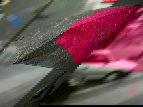 HZD: Waarom ruikt regen zo lekker?