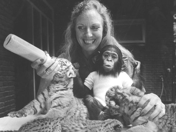 Dierenpark Amersfoort bestaat 75 jaar!