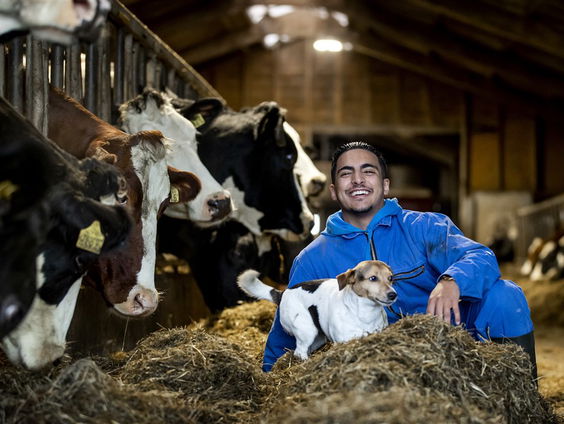 Boer Ayoub over het boerenprotest in Stroe
