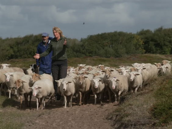 Liefde voor de Nederlandse klei in Mijn vlakke land