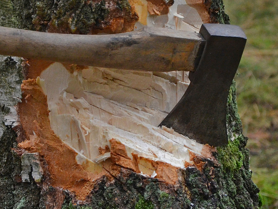 Houthakker Redmer Knol hakt zich naar de wereldtitel