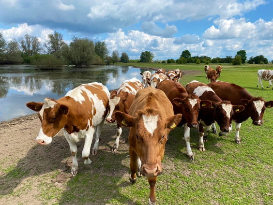 Waar stroom je naartoe?