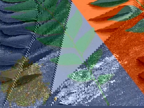 Thee van tuinbouwafval