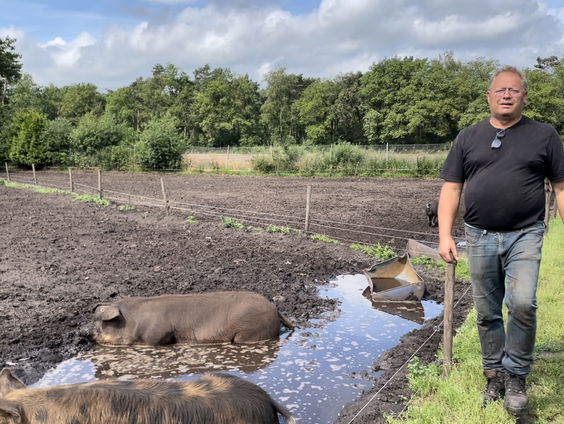 Reportage Grijs & Groen: varkensboerderij
