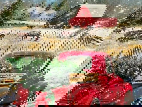 Country Roads: Christmas Country