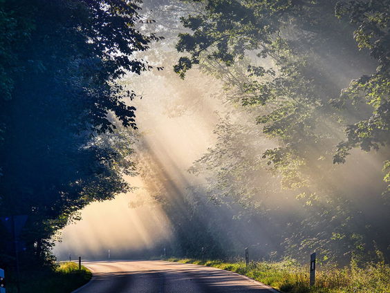 Iris vertelt over de warmte van Dottie West