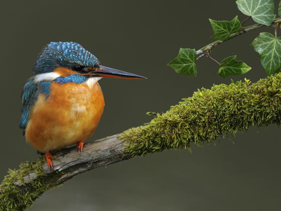 Wereldfotograaf Paul van Gaalen vindt zijn passie terug en schrijft nieuw boek met echtgenote