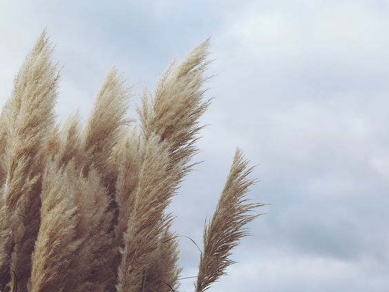 De kunst van het meebewegen