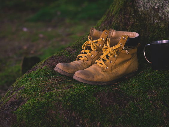 Streek van de week (Veluwe): de vierdaagse van... Apeldoorn!