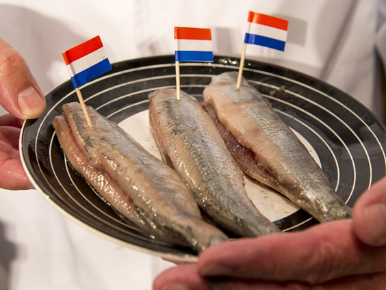 Het haringseizoen is uitgesteld, grote teleurstelling bij de visboeren