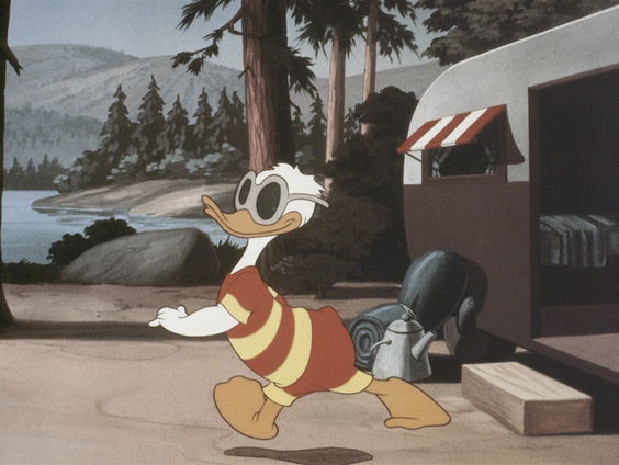 Ferdi Felderhof over 70 jaar Donald Duck