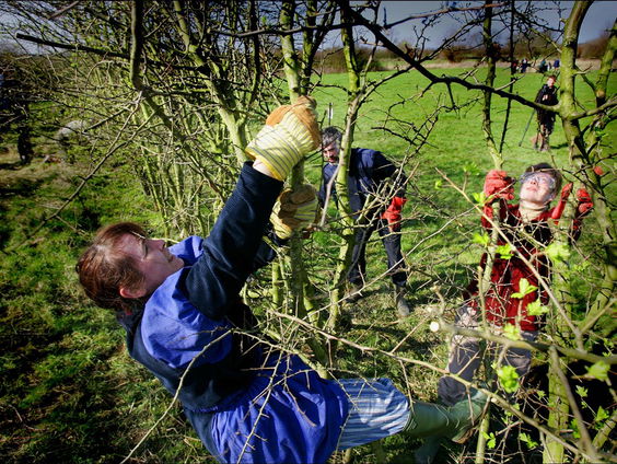 De 81-jarige Wim van Lanen uit Boxmeer deed weer mee aan het NK Maasheggenvlechten!