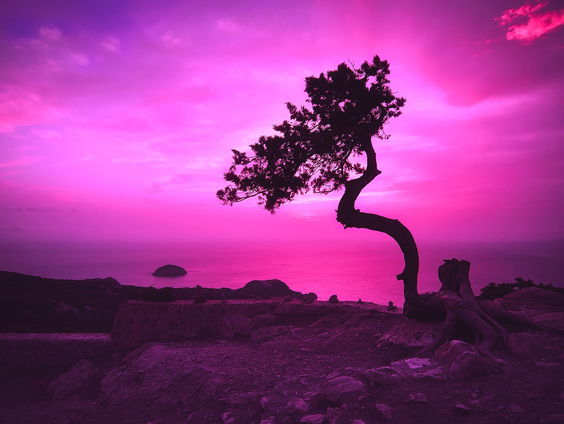 Oh Happy Day. Gospel in de Pop: Iris Pronker