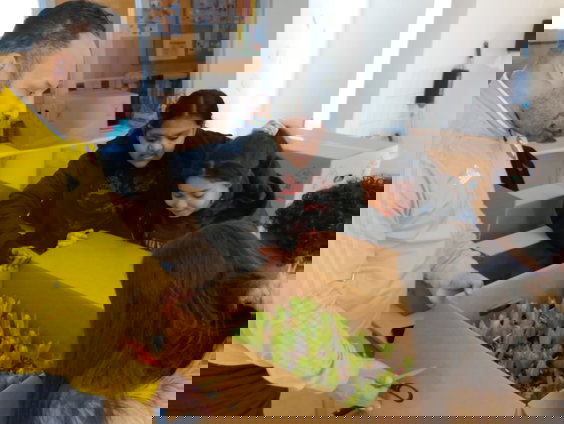 Binnenbos op basisschool doet wonderen