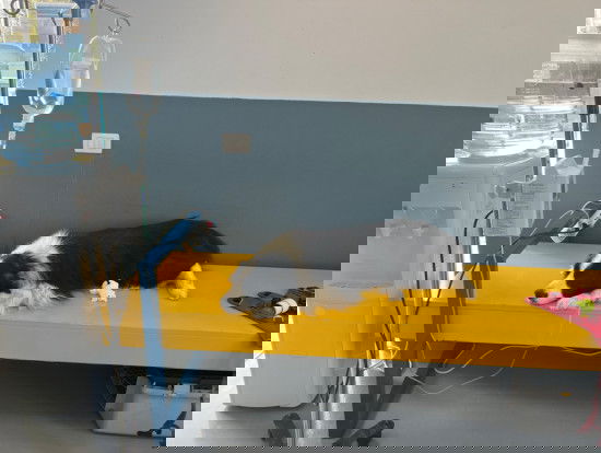 Tegenslag voor Barry, Monique en Maurice tijdens pelgrimstocht