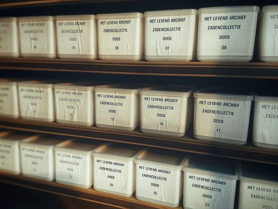 Landelijke zadenbank moet uitsterven inheemse planten voorkomen