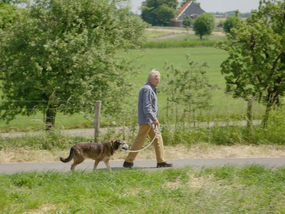 Frans Bromet over zijn nieuwe programma: 'Met Bromet naar Hondencursus'