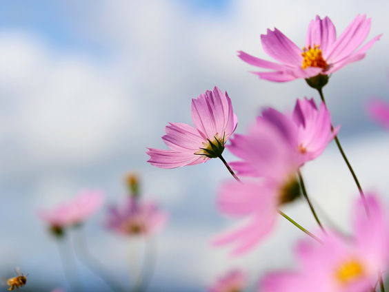 De Geest is niet in woorden te vatten