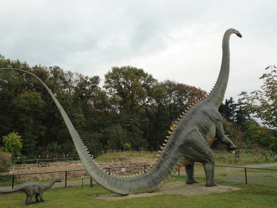 Dinosaurus blijkt geen Diplodocus!