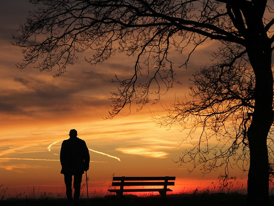 Mijmeringen op de late avond!