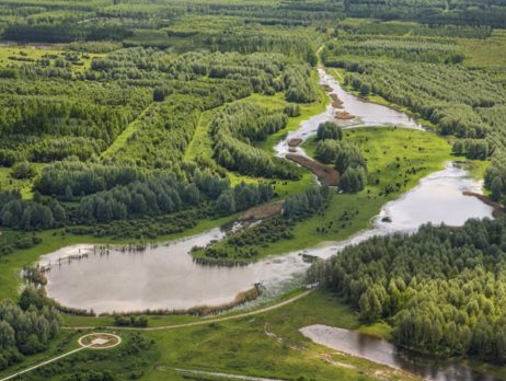 Bos bij Zeewolde 'Het Horsterwold' bestaat 50 jaar!