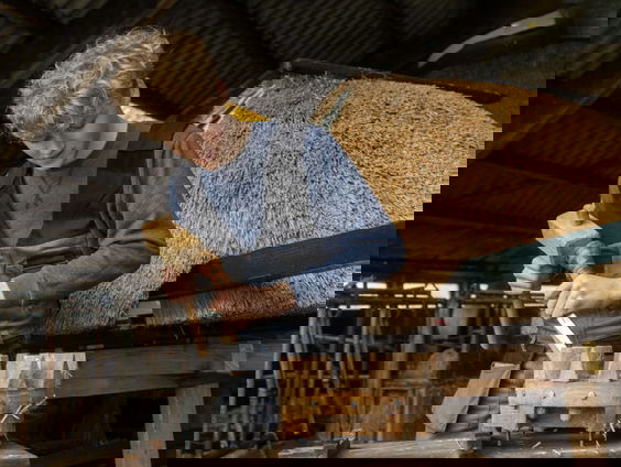 De 16-jarige Stan restaureerde eigenhandig vier jaar lang de enige molen in zijn dorp!