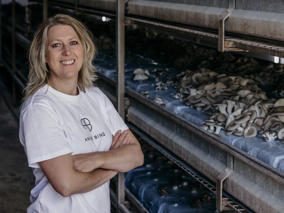 De rekandel, een frikandel maar dan van oesterzwamsteeltjes uit de Peel
