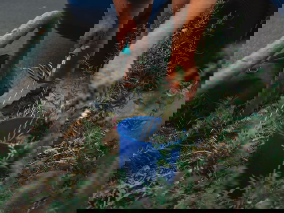 Fabio is vrijwilliger bij Sociaal Tuinieren en start vandaag de Bingo!