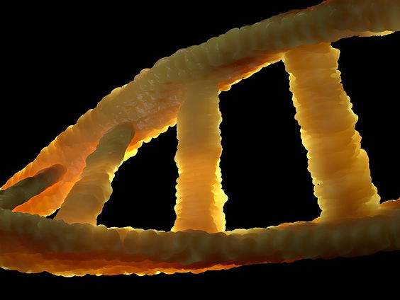 Het OM wil DNA van consumenten gebruiken