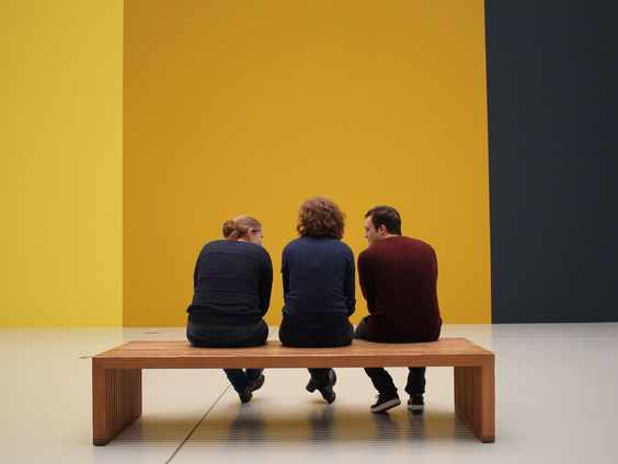 'Verzamelen is ook een kunst'! Museum Vaassen Historie