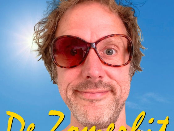 Ronald Snijders over zijn zomerhit 'De Zomerhit'