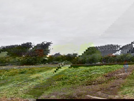 'Wegen met Zegen' nieuwe Pelgrimsroute in de Betuwe