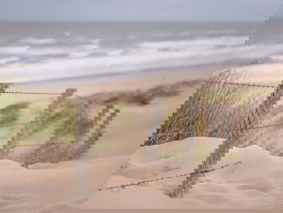 Frustratie? Krijsen aan Zee helpt!