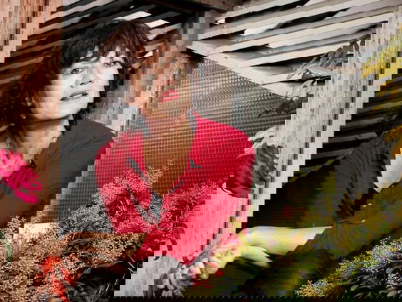 De Arbeidsvitaminen van Mirjam Oldenhave