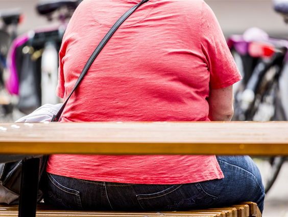 Mariëtte Boon over het boek 'Vet Belangrijk'