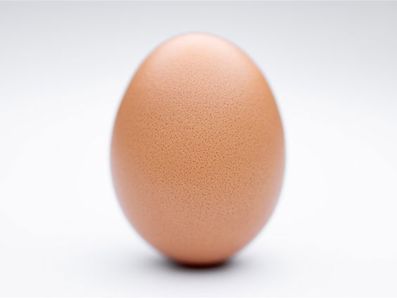 Bert weet hoe je de vloeistof uit een 1700 jaar oud ei krijgt