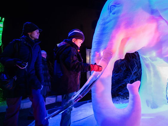 Opening Nederlands IJsbeeldenfestival in Zwolle