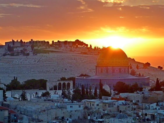 Arjen Lont wil 546 bomen planten in het jarige Israël