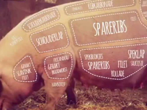 Gertjan Kiers over zijn boek 'Van kop tot staart: varken'