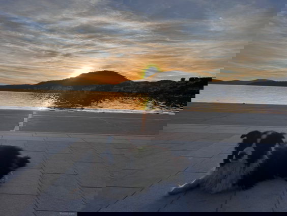 Barry en Monique nemen afscheid van hond Maurice